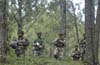 Government orders ceasefire to encourage Naxals to surrender